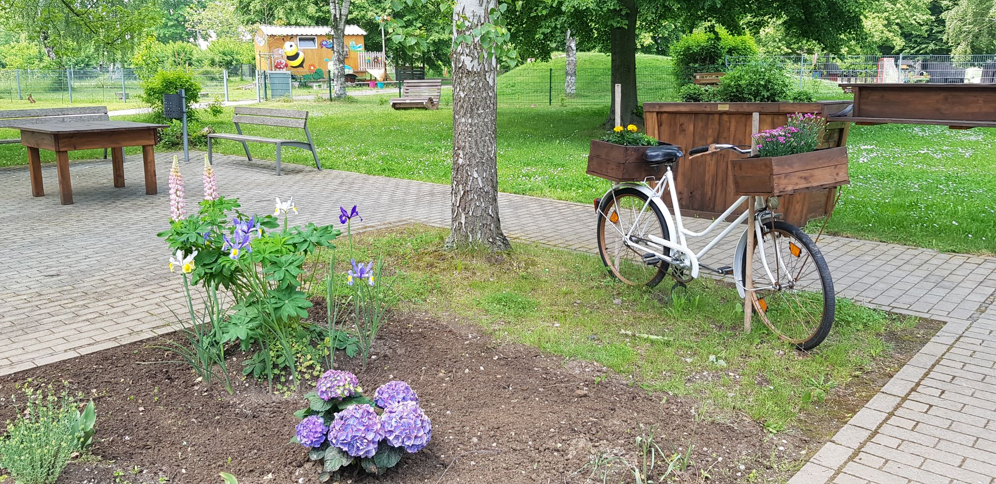 Blick in den Garten